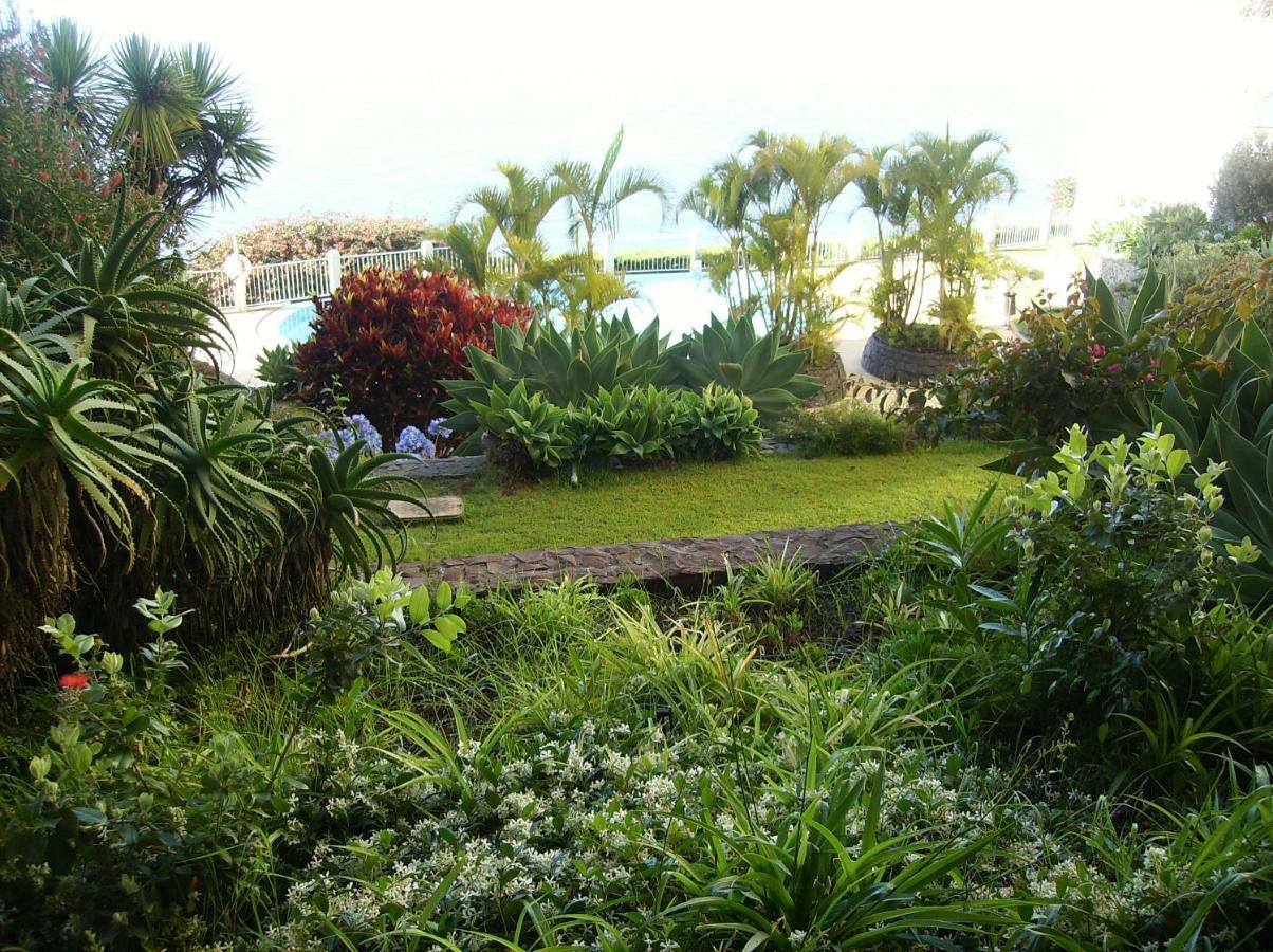Oceanfront Apartment Funchal  Extérieur photo